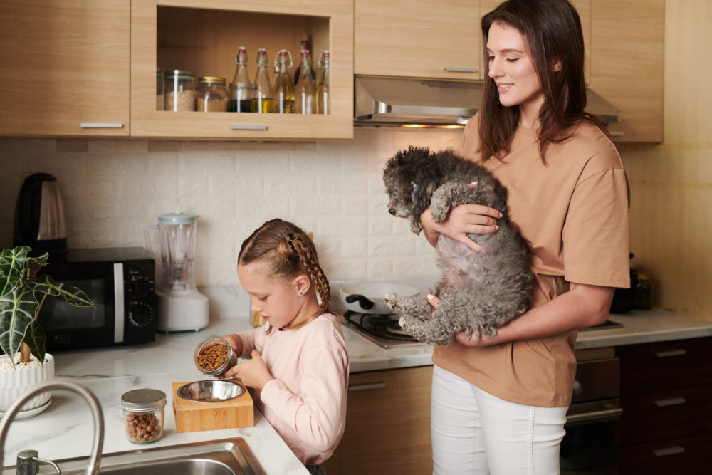 All about limited ingredient dog food and why it matters